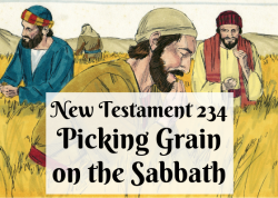 NT 234 - Picking Grain on the Sabbath